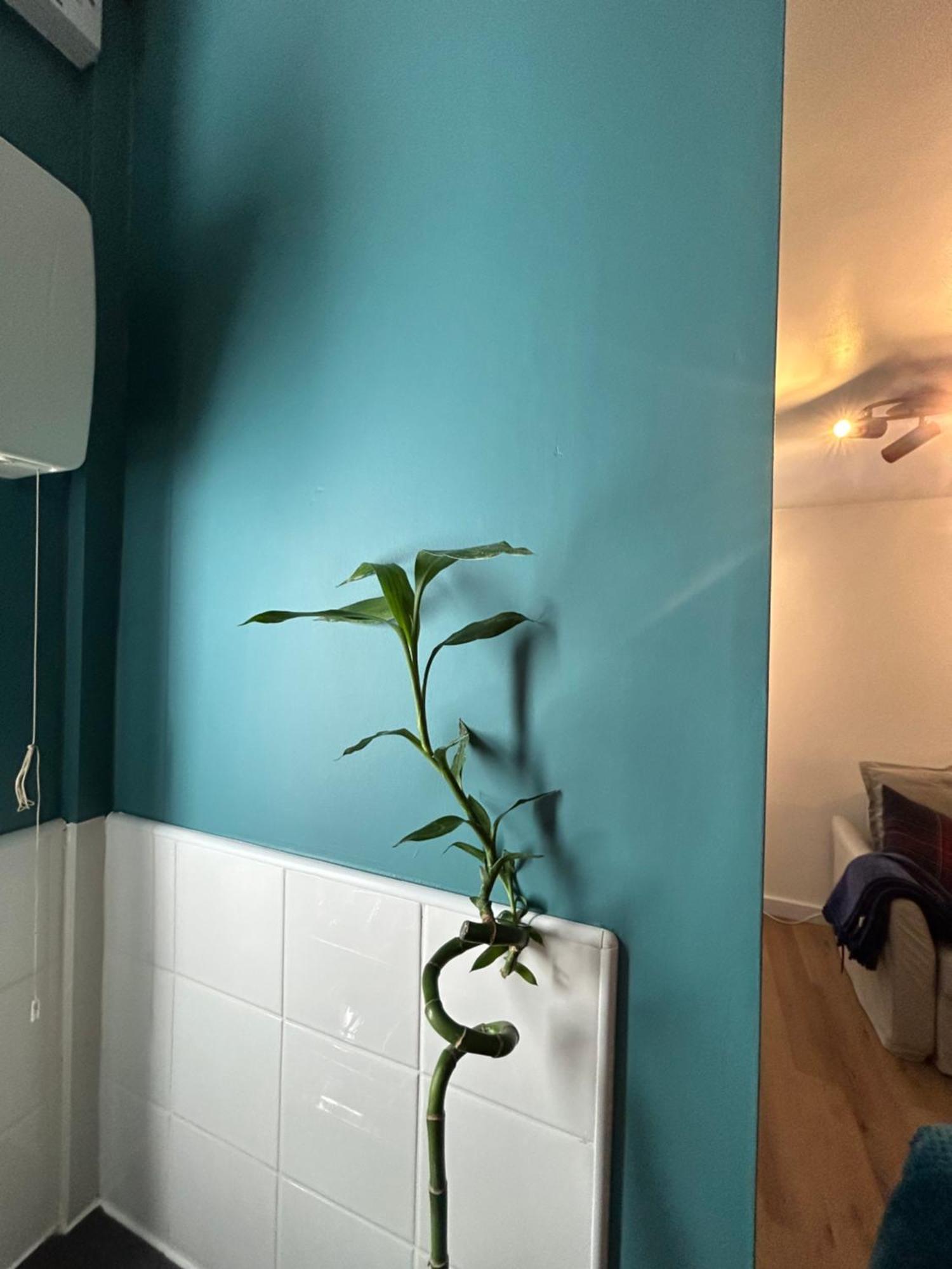 Woodhouse Apartment Leeds  Buitenkant foto